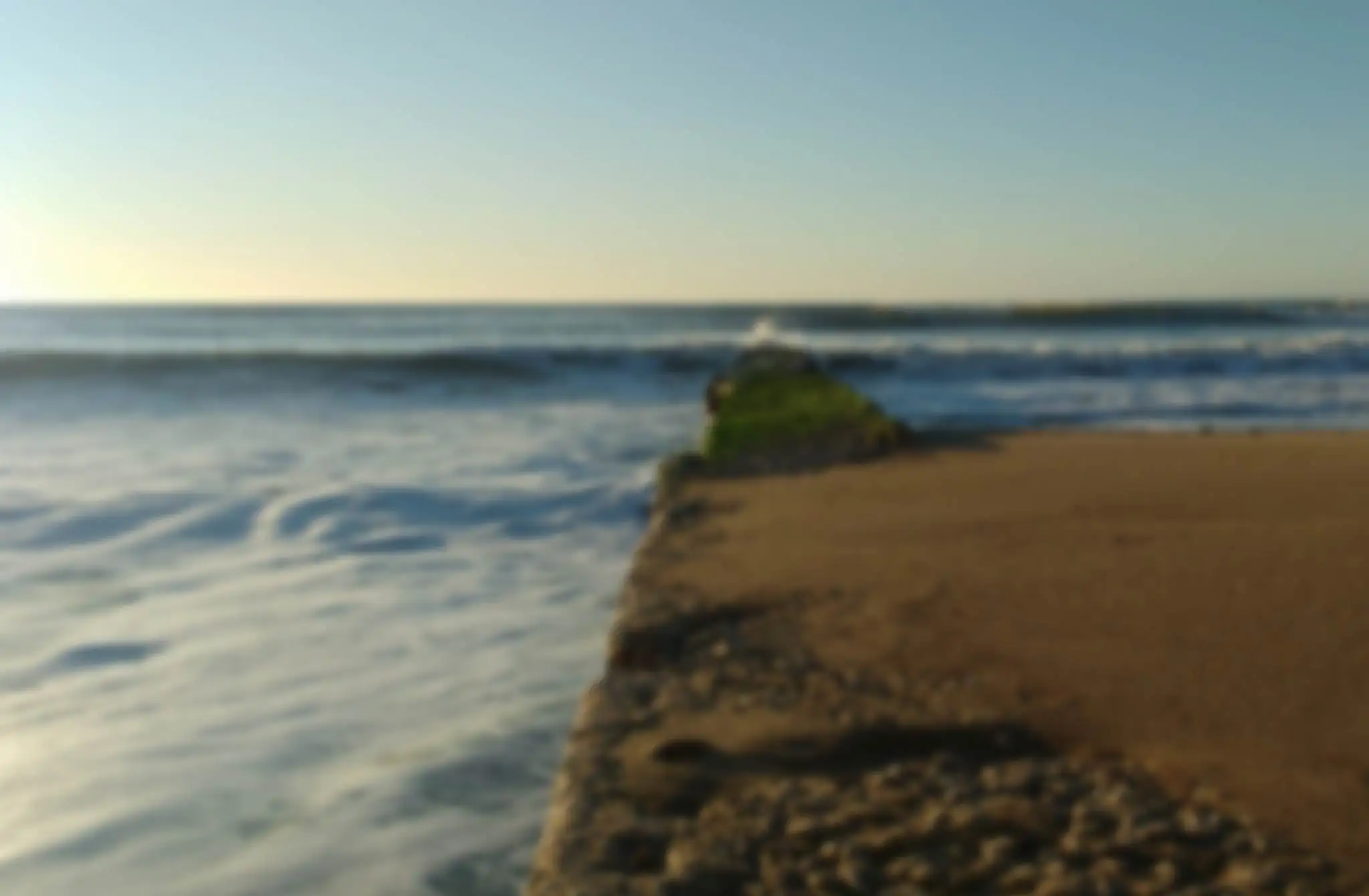 Nuestros Departamentos en Alquiler en Miramar